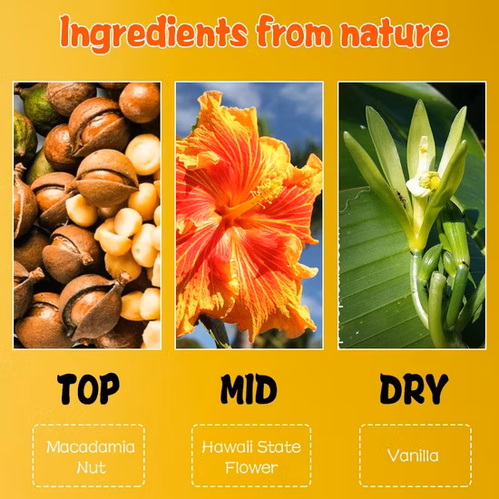 Antiperspirant Body Spray Deodorant Perfume Mist Spray