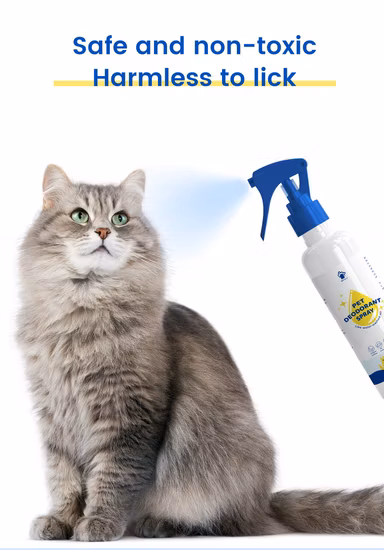 Indoor Fresh Air Cats Dogs Urine
